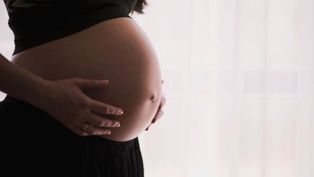 Adolescent birth rates fall sharply across all provinces leaving researchers searching for explanations