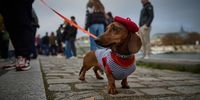 The 6th annual Paris Sausage Walk, and more around the world