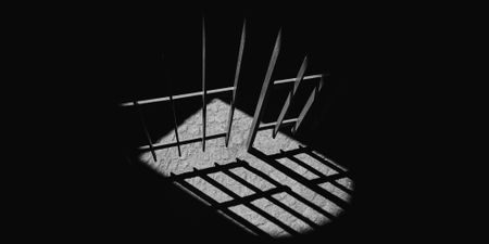 Daily roll call of arrests, NPA prosecutions and convictions – 9 February 2022