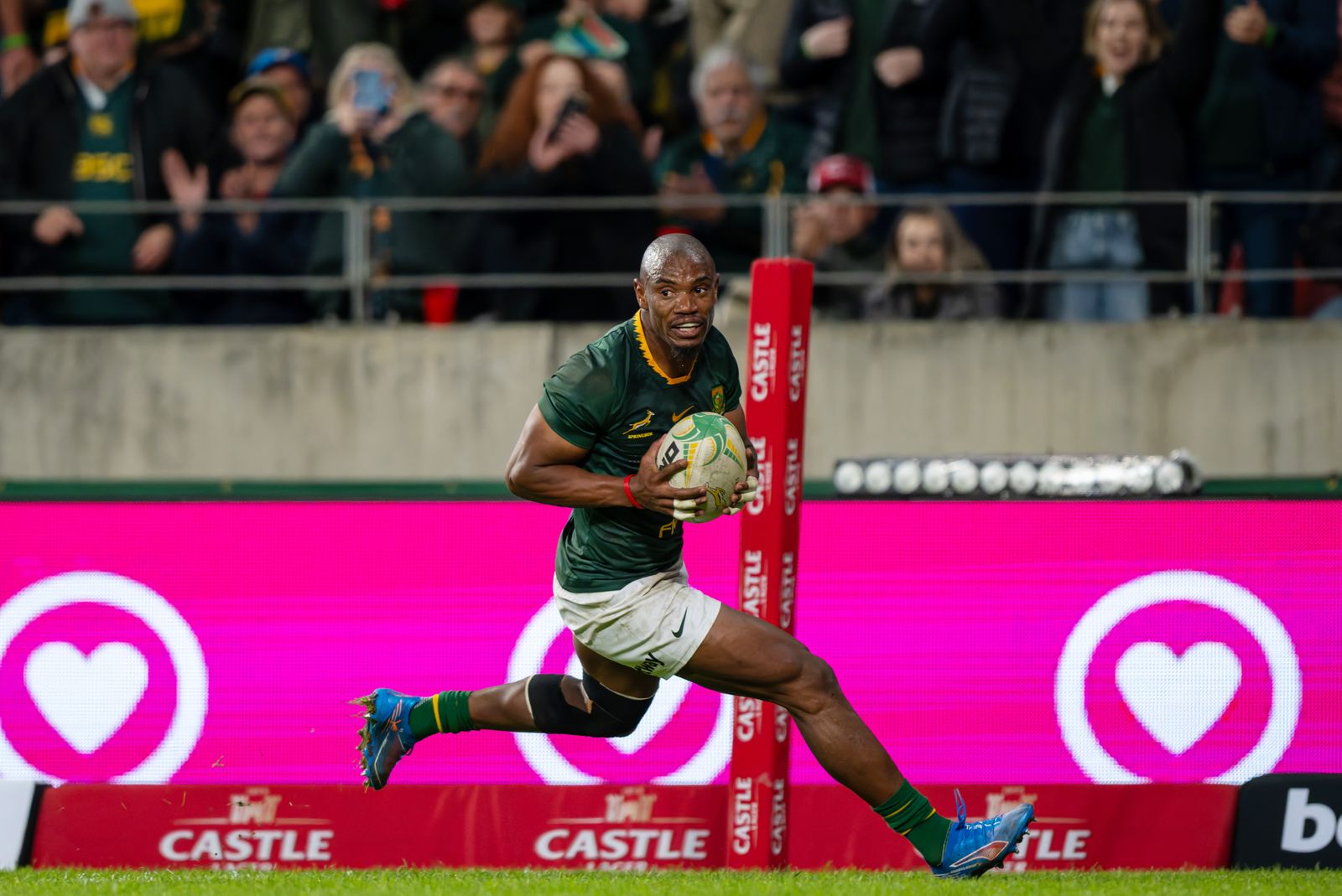 Faf, Mapimpi among casualties of Bok squad cull for Wallaby Tests