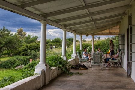 The ups and occasional downs of learning how to socialise well in a small town