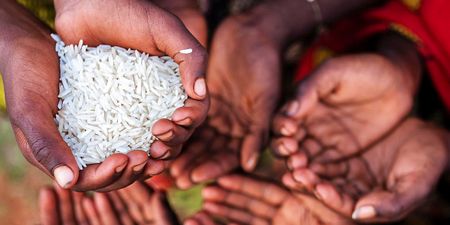 Here's how SA can end hunger and malnutrition this year