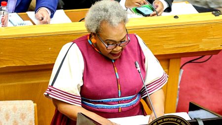 SA's alarming child violence rates demand collaboration between government and NGOs