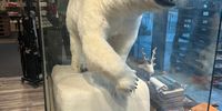 PolarBar-earth