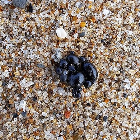 SA’s Garden Route beaches closed after oil droplets wash up ashore