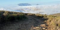 Table Mountain towers above thick mist over Cape Town. Photographer: Burger van der Merwe</p>
<p>P4U_readersubmission_20250307