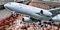 SAA says CEO suspension unrelated to DA’s latest Daybreak Foods findings