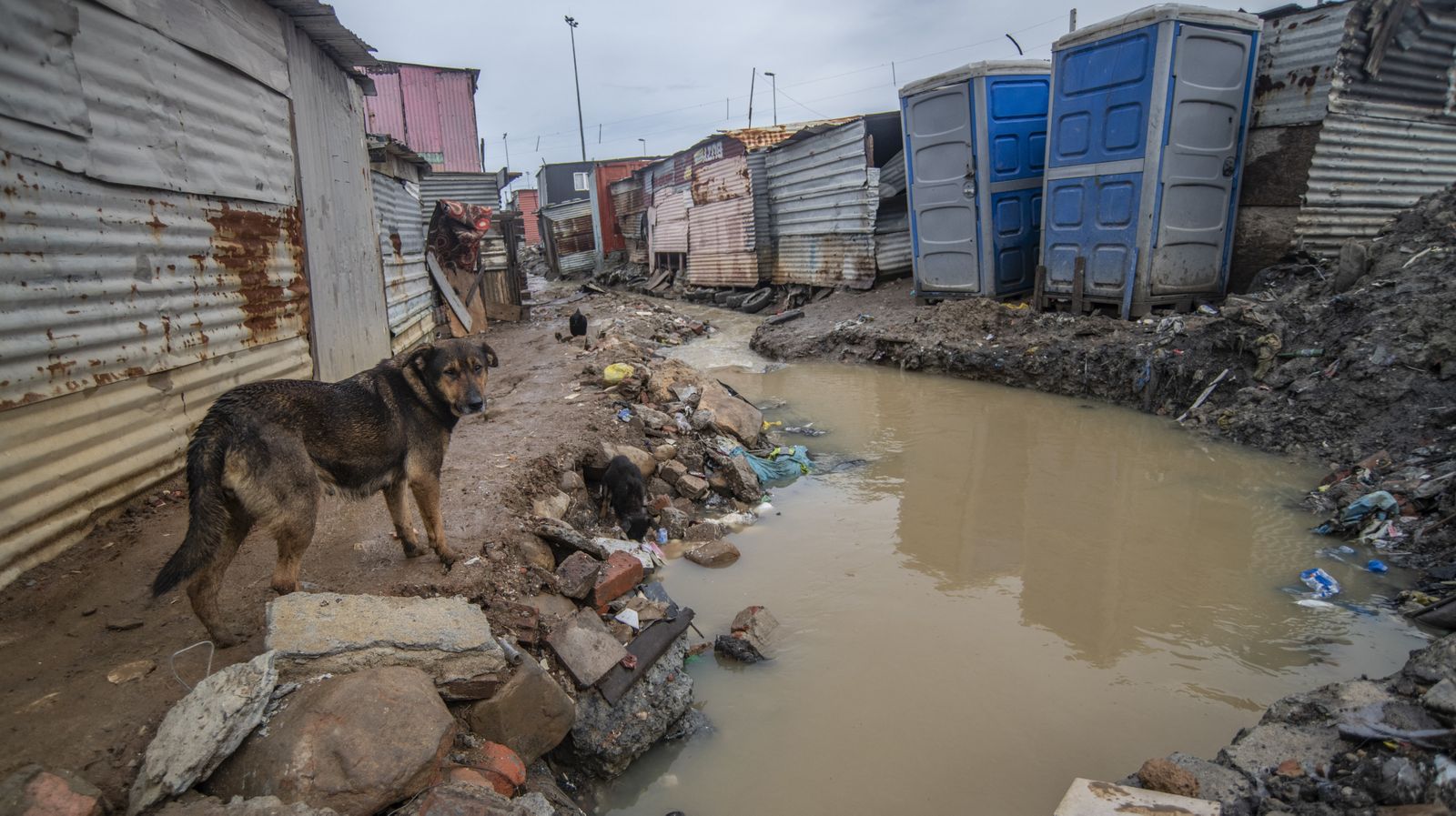 Death toll 10 after Nelson Mandela Bay flood