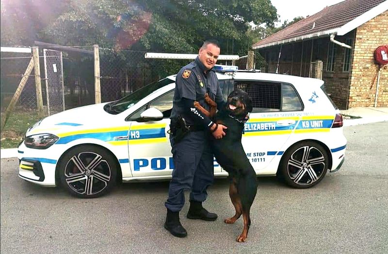Gqeberha’s legendary police dog Mufasa dies at nine years old