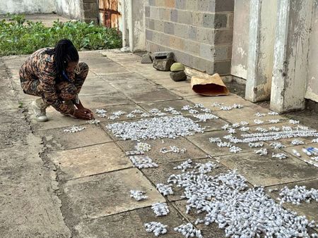 Illegal ant(ic)s — tiny targets of a growing global biopiracy threat to South Africa