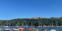 Colourful in Cornwall. Image: Jackie Campbell 
