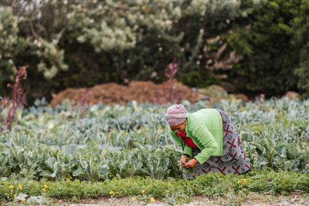 Why water and food must be governed as one system in SA