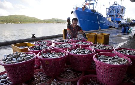 South Africa joins 134 nations in new push for High Seas protection treaty