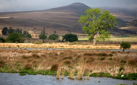 ‘There’s no substitute for water; there’s a substitute for coal,’ expert warns over Uthaka Energy plan to mine in Wakkerstroom