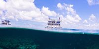 Shell yeah, I'm in love with the reef! Photographer: Sue-Ann Stander</p>
<p>P4U_readersubmission_20250516