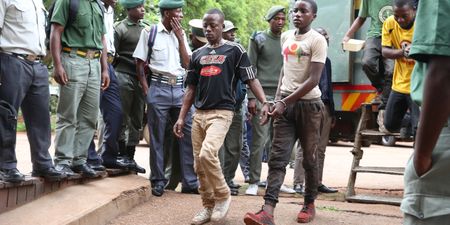 Recalling the day the Zimbabwean soldiers came knocking