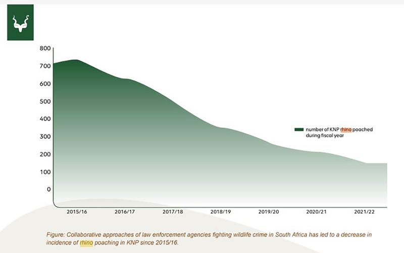 Rhino killings: More than 60% now in KwaZulu-Natal