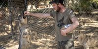 Ronnie Austin feeds treats to the wolves in an enclosure. (Photo: Shiraaz Mohamed)