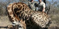 The kill (Image: sourced / African Sky Hunting)