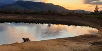Sunset swim, Franchhoek. Photographer: Winnie Everett 