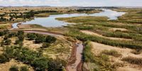 The channels formed by the Orange River as it flows into the dam near Bethulie. Image: Chris Marais