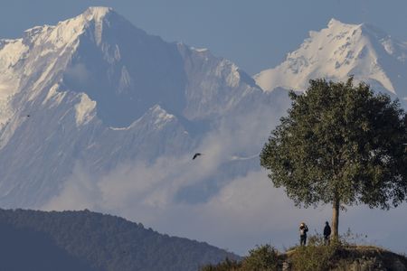 Nepal's Kathmandu rattled by strong quake, no casualties reported