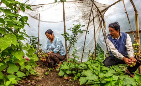 Business as usual: Multinationals take massive profits at the expense of millions of lives