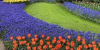Keukenhof Gardens, Netherlands. Image: JS Johnston