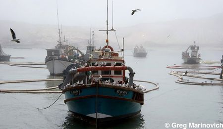 The Guptas’ poisonous legacy - the coal gambit: How State Capture hobbled Alexkor (Part Two)