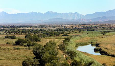 Op-Ed: How ANC changed gear on land reform