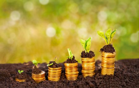 Take the long view like a farmer to harvest more from your money