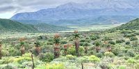 Not so Swartberg. Photographer: Brian Smith