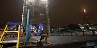 A fox looks on as engineers install a replacement "nose bolt" on an elevated bascule, on Tower Bridge on October 11, 2023 in London, England. In overnight work, engineers started replacing the bridge's two-metre-long "nose bolts," which lock the two bridge decks, or bascules, together when closed. The nose bolts were last replaced in 2002. A representative for the City of London described the process as a "bit like pulling wisdom teeth." (Photo by Peter Nicholls/Getty Images)
