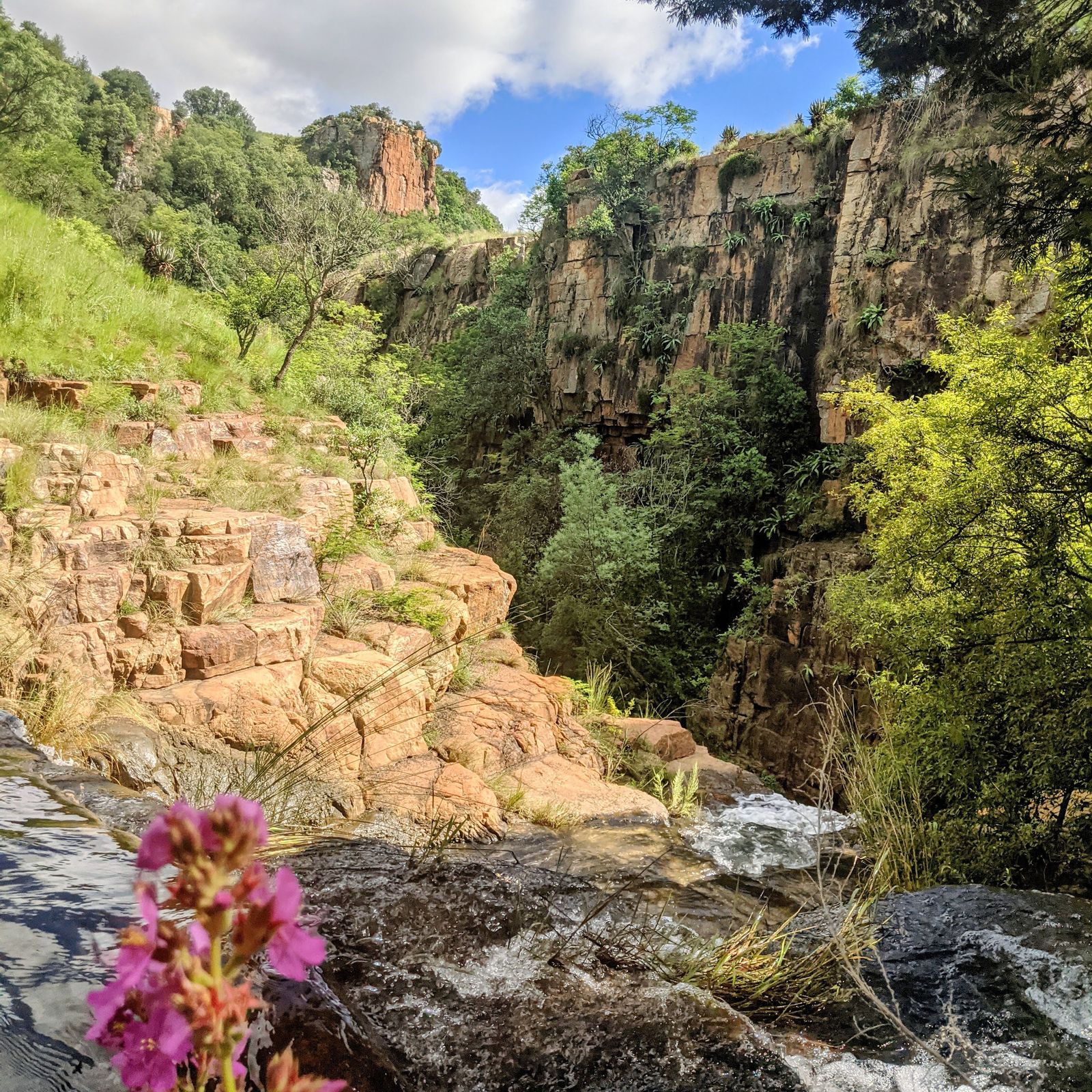 Letter from Mpumalanga: Restarting the locomotives of prosperity in a ...