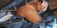 Safe from all the noise of the world! Image: Nicky Joubert