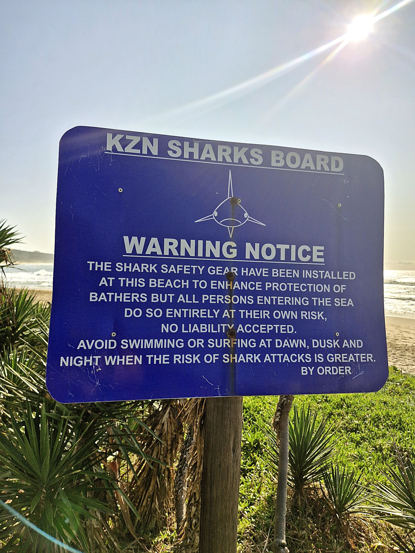 Paradox of KZN’s killer shark nets and baited hooks in Marine Protected ...