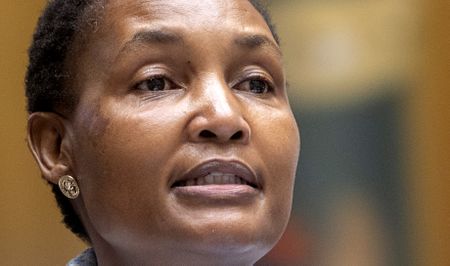 The legal conundrum at the heart of any probe into Justice Minister Thembi Simelane