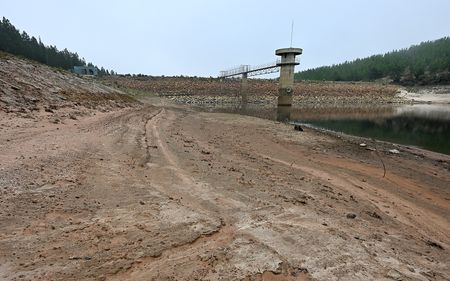 Knysna has days of water left after years of ‘long-term operational and management failures’ 