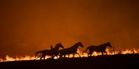 CANBERRA, AUSTRALIA - FEBRUARY 01: Horses panick as a spot fire runs through the property of Lawrence and Clair Cowie on February 01, 2020 near Canberra, Australia. The couple stayed to defend their home, with the spot fire destroying part of the property. Chief Minister Andrew Barr declared a State of Emergency on Friday, as the Orroral Valley bushfire continues to burn out of control. Hot and windy weather conditions forecast for the weekend are expected to increase the bushfire threat to homes in the Canberra region. It is the worst bushfire threat for the area since 2003, when four people died and 470 homes were destroyed or damaged. (Photo by Brook Mitchell/Getty Images)