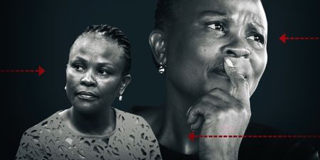 Gupta-linked Black First Land First pestered Mkhwebane to complete the CIEX report — inquiry hears