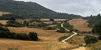 The winding Pilgrim's way between Estella and Los Arcos, Spain, 28 August 2023. (Photo: Pauli van Wyk)