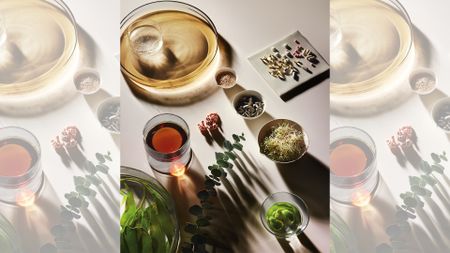 The understated powers of the sea, fermentation and music: La Mer Miracle Broth™