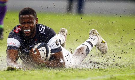 Sharks set the pace as Currie Cup semifinal spots begin to take shape