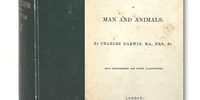 Darwin's animals