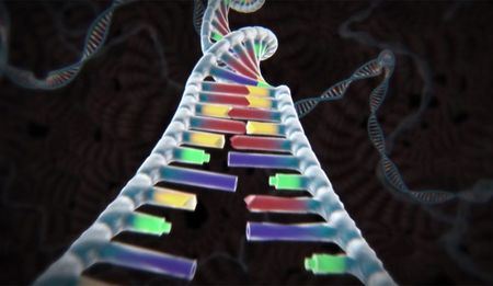 Science: Gene editing tool takes laboratories by storm - but there are ethical concerns