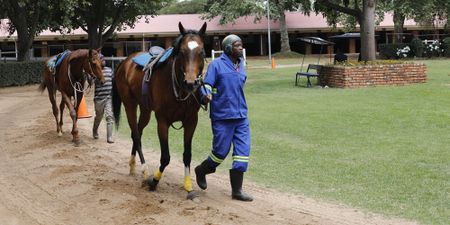 Phumelela Gaming & Leisure temporarily lays off most of its workforce