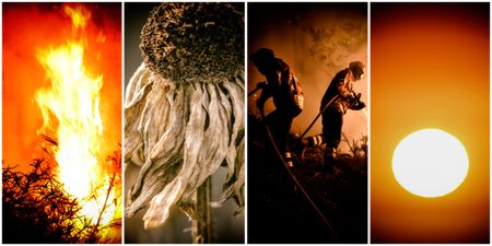 The fingerprints of climate change are all over Europe’s heatwaves and wildfires