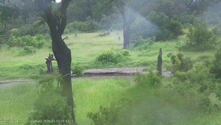 Kruger National Park evacuates camps as severe weather warnings hit Limpopo and Mpumalanga.