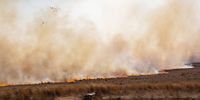 PARYS, SOUTH AFRICA - AUGUST 18: Fire breaks out at a farm near the N1 Highway on August 18, 2021 in Parys, South Africa. (Photo by Gallo Images/OJ Koloti)
