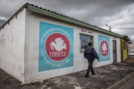 ‘They treat us like baboons’: Cape taxi drivers claim police ‘beatings’ as route closure batters revenue